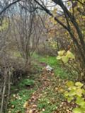 Продава ПАРЦЕЛ, с. Горна Василица, област София област, снимка 6