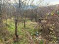 Продава ПАРЦЕЛ, с. Горна Василица, област София област, снимка 5