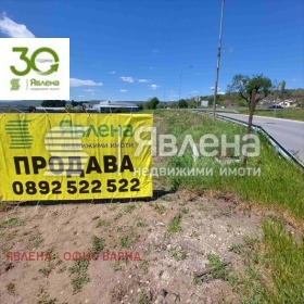 ����� ������� ������,���� �����, ������