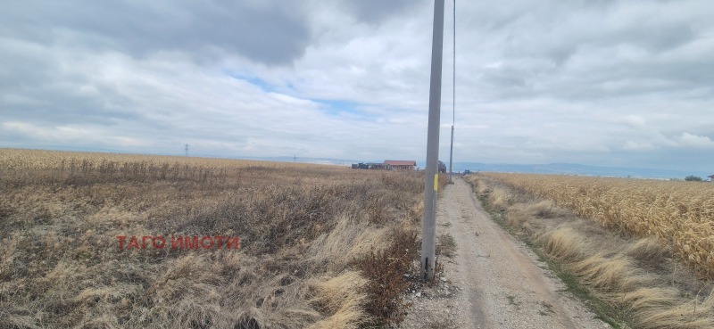 À venda  Trama região Sófia , Hrabarsko , 530 m² | 55347668 - imagem [8]