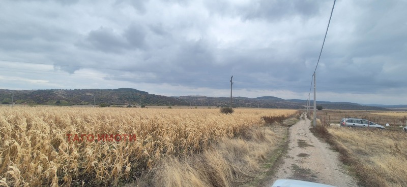 À venda  Trama região Sófia , Hrabarsko , 530 m² | 55347668 - imagem [9]