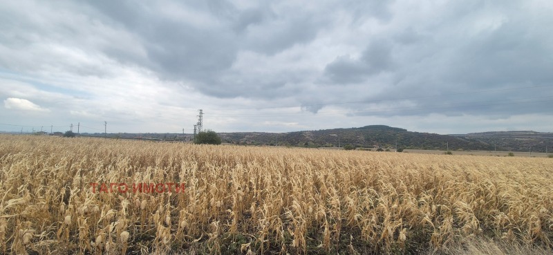 À venda  Trama região Sófia , Hrabarsko , 530 m² | 55347668 - imagem [10]
