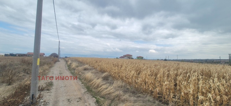 À venda  Trama região Sófia , Hrabarsko , 530 m² | 55347668 - imagem [3]
