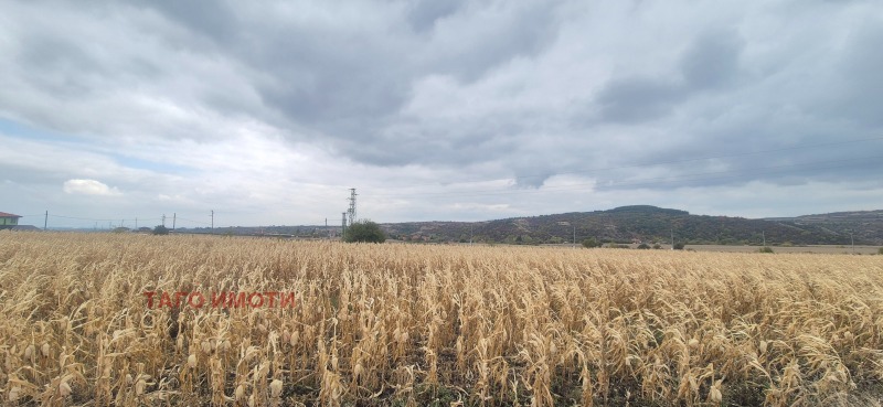 À venda  Trama região Sófia , Hrabarsko , 530 m² | 55347668 - imagem [4]