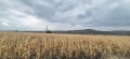 Продава ПАРЦЕЛ, област София, с. Храбърско • 36040 € / 70488.11 лв. • 28890245 10