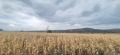 Продава ПАРЦЕЛ, област София, с. Храбърско • 36040 € / 70488.11 лв. • 28890245 4
