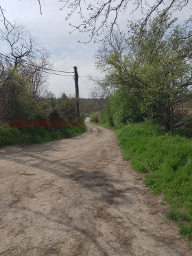 ������� ������ | Imot.bg � ����� ������ 5