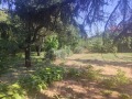 Продава КЪЩА, гр. Криводол, област Враца, снимка 17
