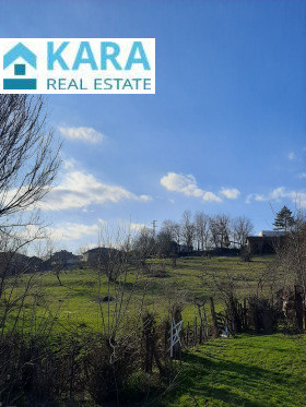 ������ ������� ������