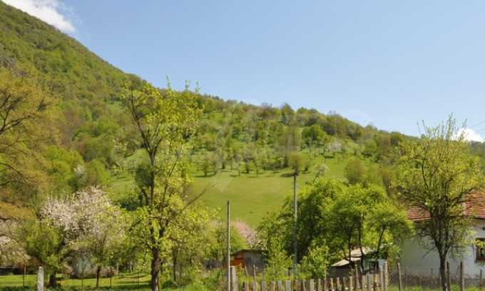 ������� ������ | Imot.bg � ����������� 5