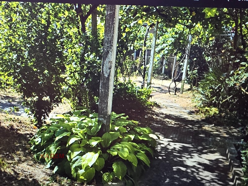 For Sale  House region Kyustendil , Konyavo , 150 sq.m | 57750708 - image [4]