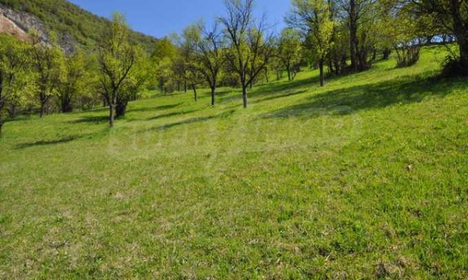 Продава ПАРЦЕЛ, с. Рибарица, област Ловеч, снимка 4 - Парцели - 56376265