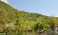 Продава ПАРЦЕЛ, с. Рибарица, област Ловеч, снимка 5