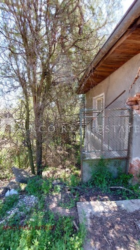 ������� ������ | Imot.bg � ����� ������ 3