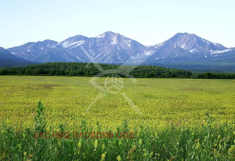 Продава ПАРЦЕЛ, с. Брестовица, област Пловдив