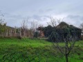 Продава КЪЩА, с. Брест, област Плевен, снимка 7