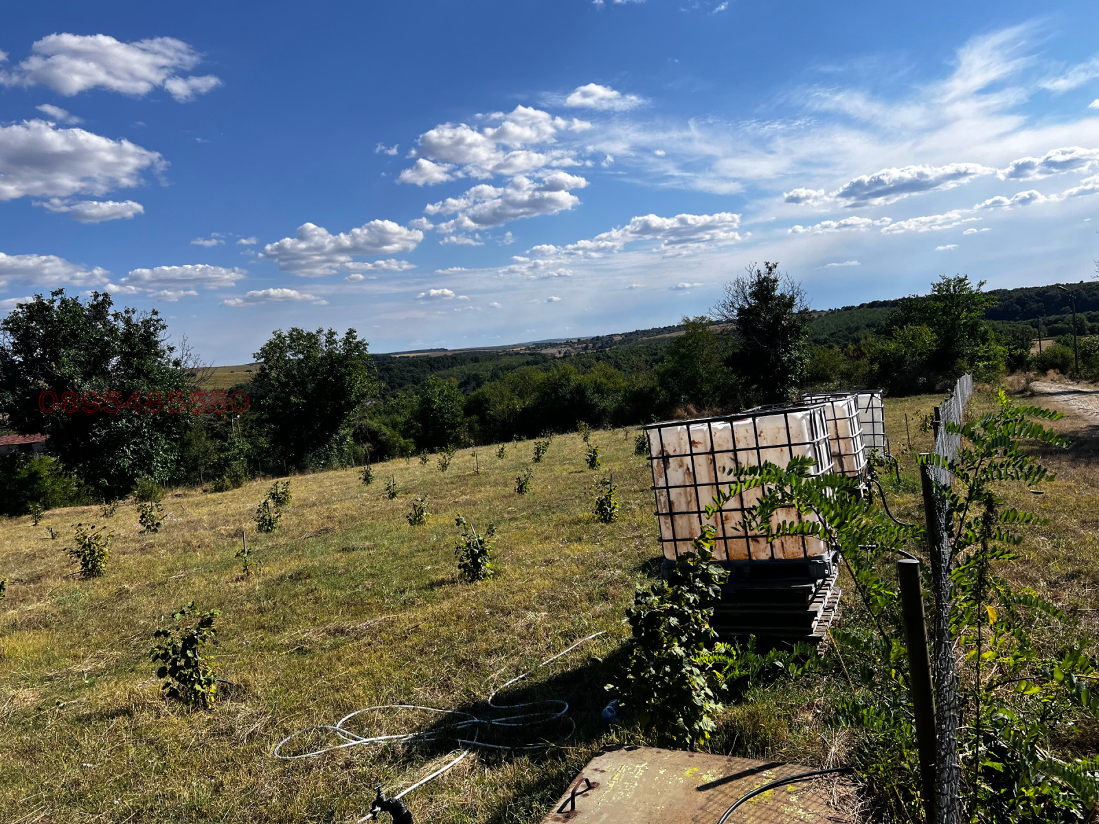Продава ПАРЦЕЛ, с. Голям Поровец, област Разград, снимка 7 - Парцели - 55010831