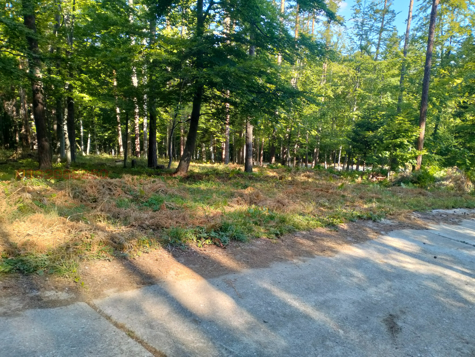 Продава ЗЕМЕДЕЛСКА ЗЕМЯ, с. Добралък, област Пловдив