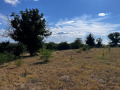 Продава ПАРЦЕЛ, с. Голям Поровец, област Разград, снимка 14