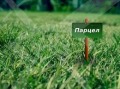Продава ПАРЦЕЛ, област Пловдив, с. Избеглии • 34200 € / 66889.39 лв. • 12786337 1