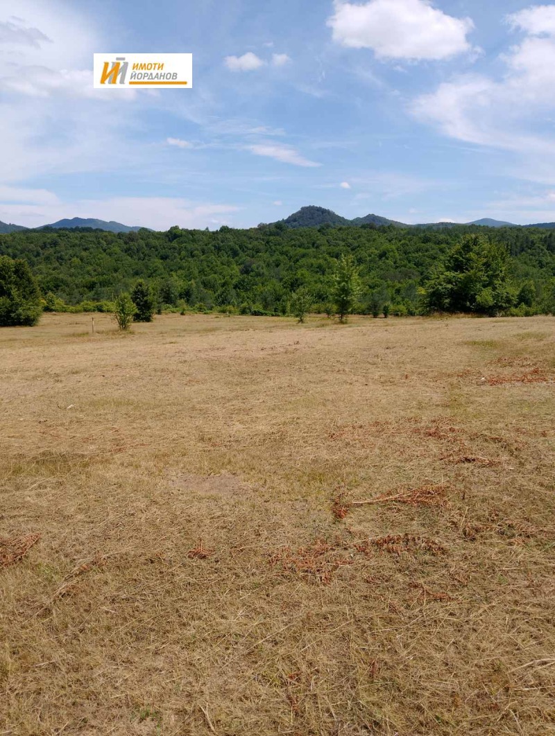 For Sale  Plot region Veliko Tarnovo , Miykovtsi , 7599 sq.m | 79118542