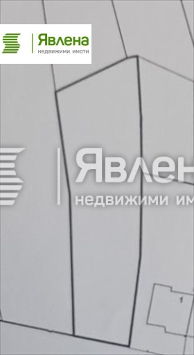 ����� ������� ������,��. ����������, ������ �����