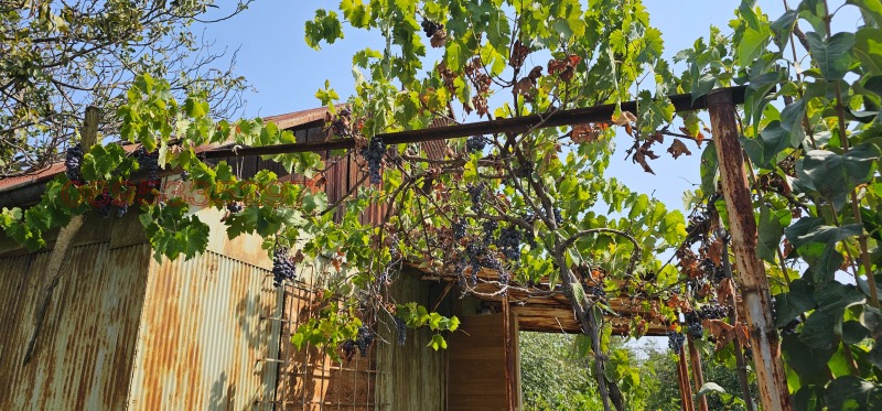 Продава ПАРЦЕЛ, гр. Русе, в.з. Левента, снимка 3 - Парцели - 52854903