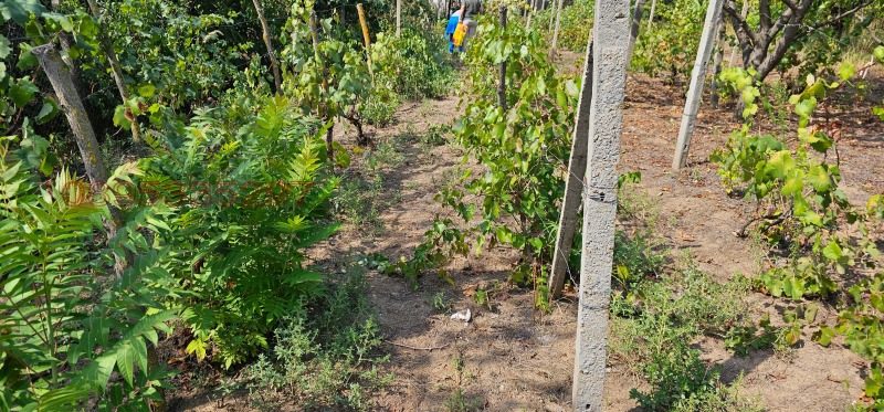 Продава ПАРЦЕЛ, гр. Русе, в.з. Левента, снимка 9 - Парцели - 52854903