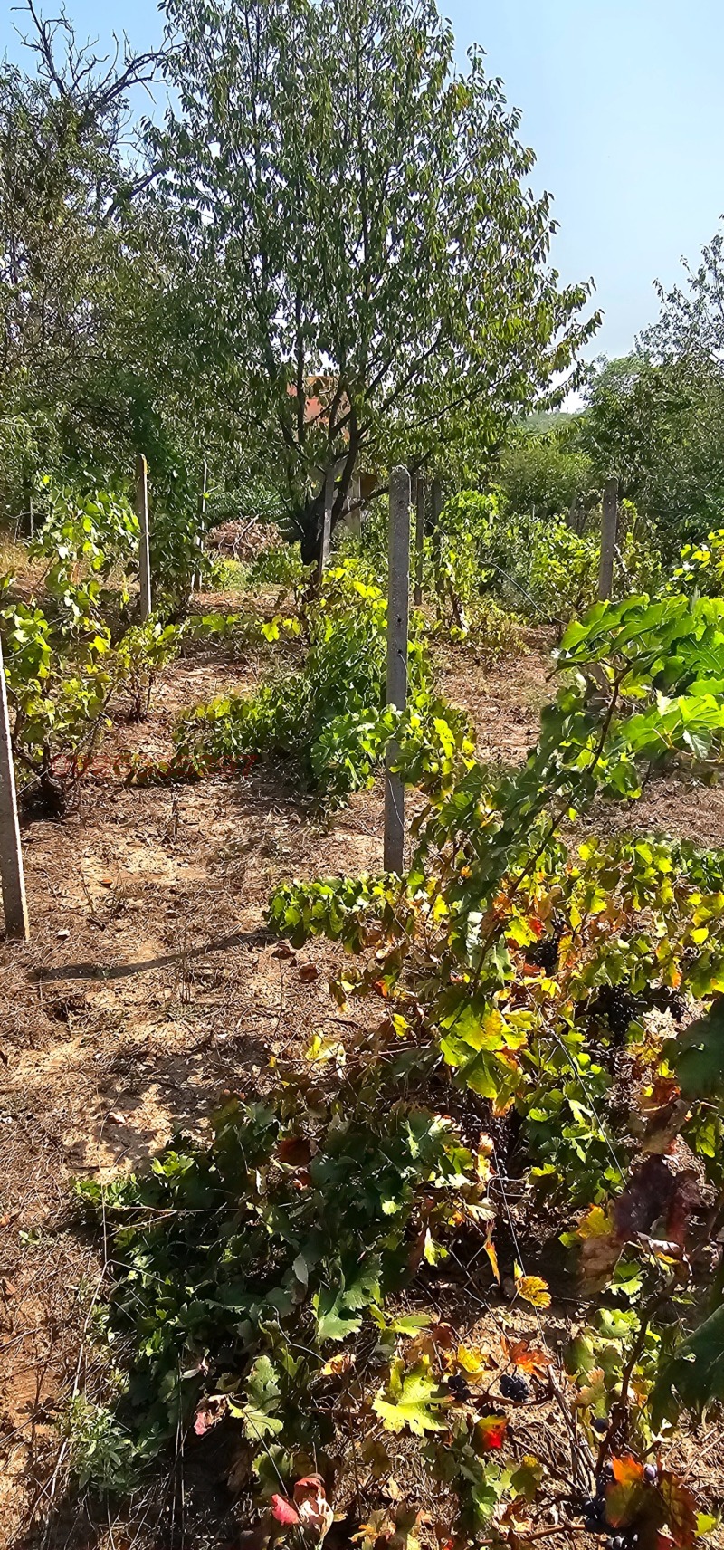 Продава ПАРЦЕЛ, гр. Русе, в.з. Левента, снимка 11 - Парцели - 52854903