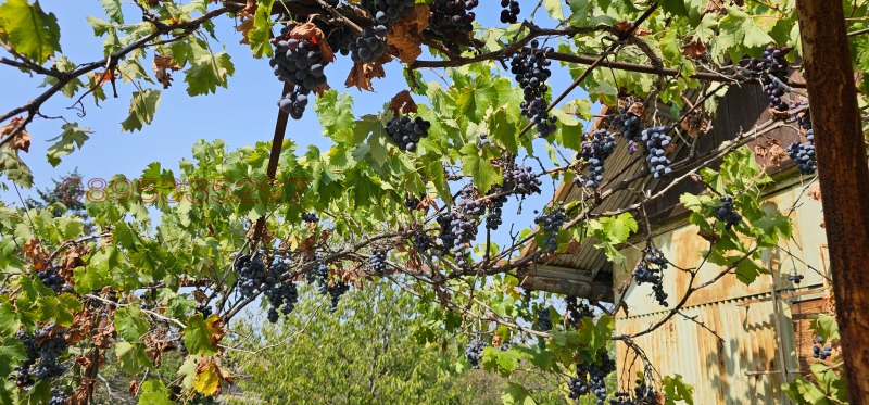 Продава ПАРЦЕЛ, гр. Русе, в.з. Левента, снимка 5 - Парцели - 52854903