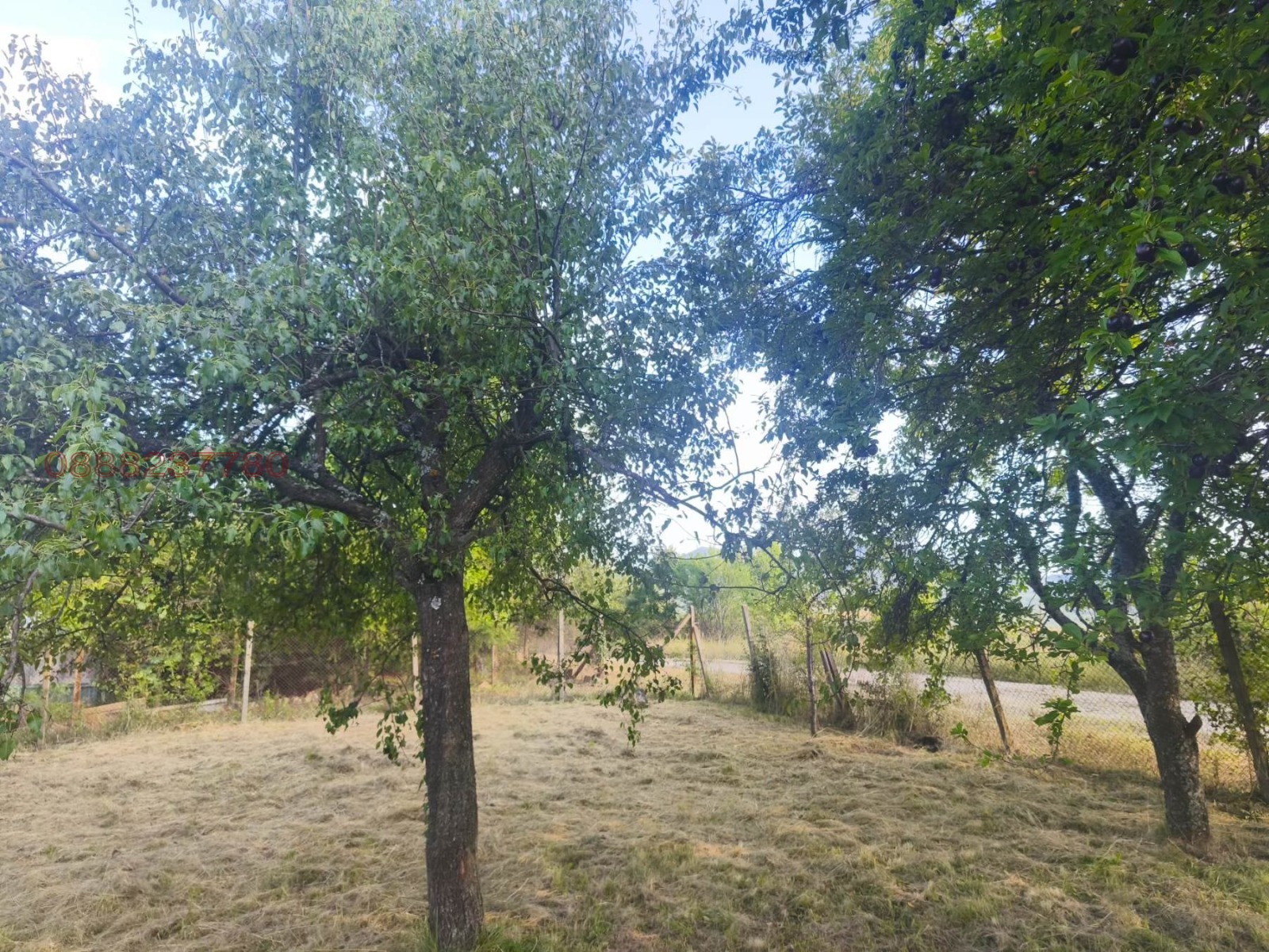 Продава КЪЩА, с. Осиковица, област София област, снимка 5 - Къщи - 55397586