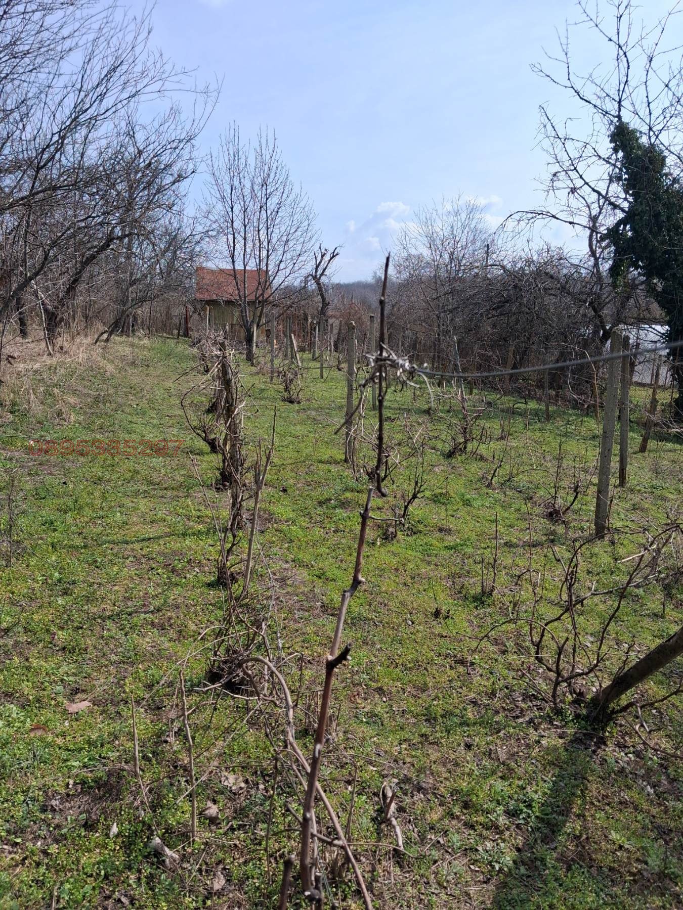 Продава ПАРЦЕЛ, гр. Русе, в.з. Левента