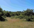 Продава ПАРЦЕЛ, област Перник, с. Студена • 12990 € • 58637717 — Holmes.bg