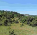 Продава ПАРЦЕЛ, област Перник, с. Студена • 12990 € • 58637717 — Holmes.bg