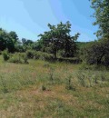 Продава ПАРЦЕЛ, област Перник, с. Студена • 12990 € • 58637717 — Holmes.bg