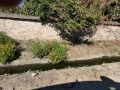 Продава ПАРЦЕЛ, област Пазарджик, с. Ветрен дол • 34100 € • 31225223 — Holmes.bg