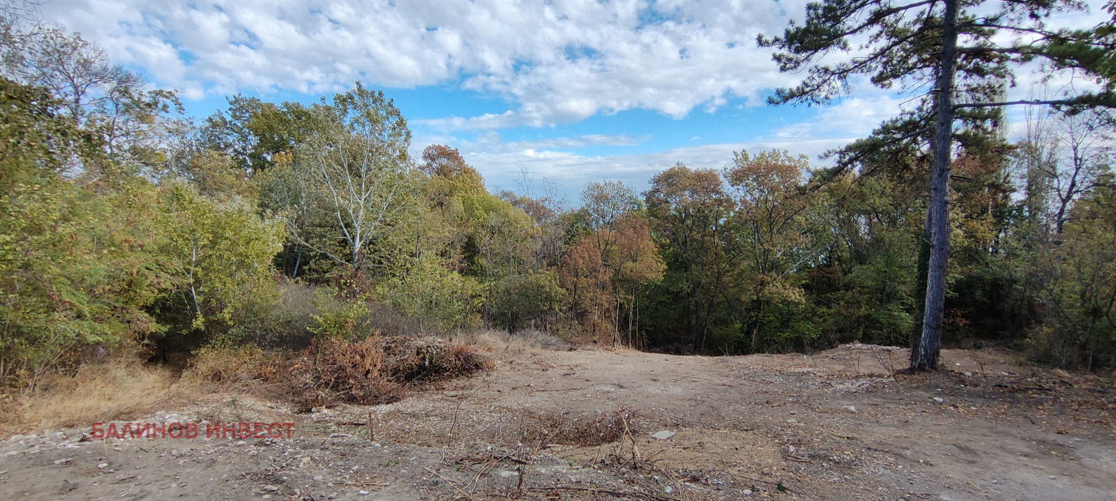 ������� ������ | Imot.bg � ����������� 2