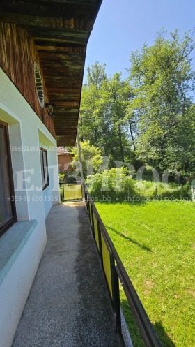 ����� ������� ����,�. ����� ����, ������ ���������