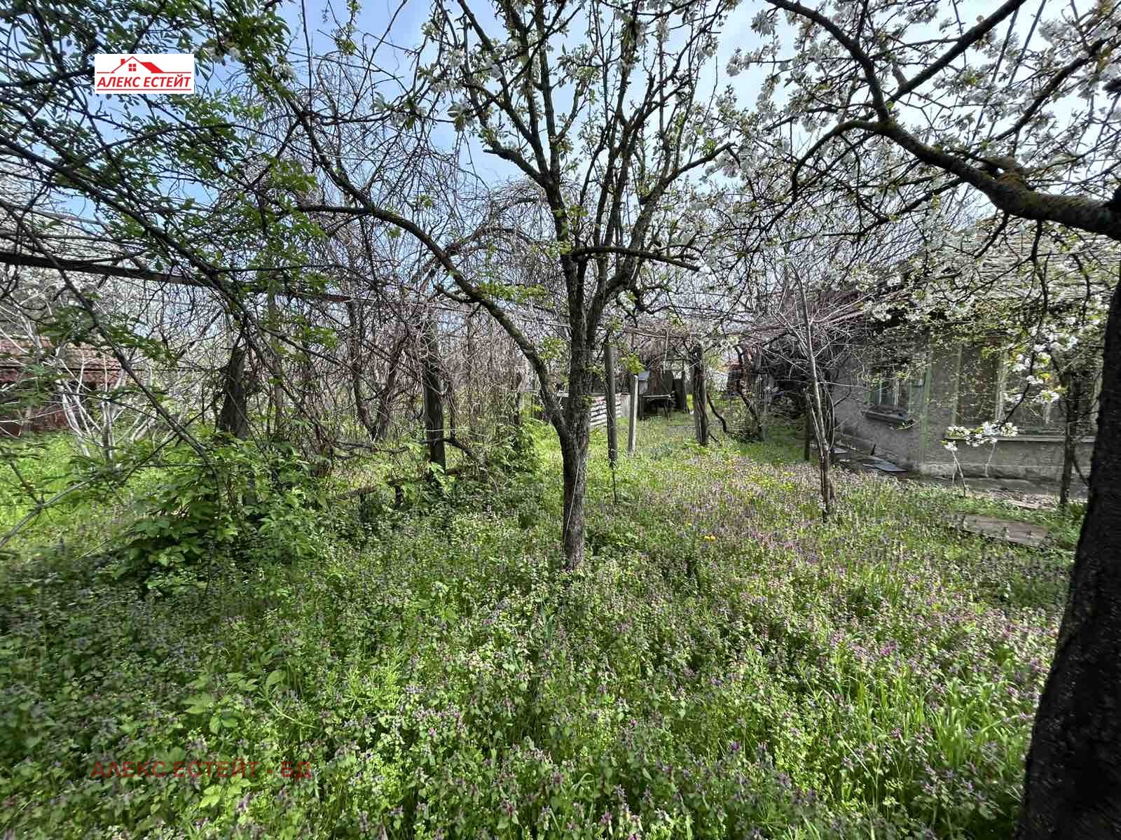 Продава КЪЩА, с. Тетово, област Русе, снимка 8 - Къщи - 54828378