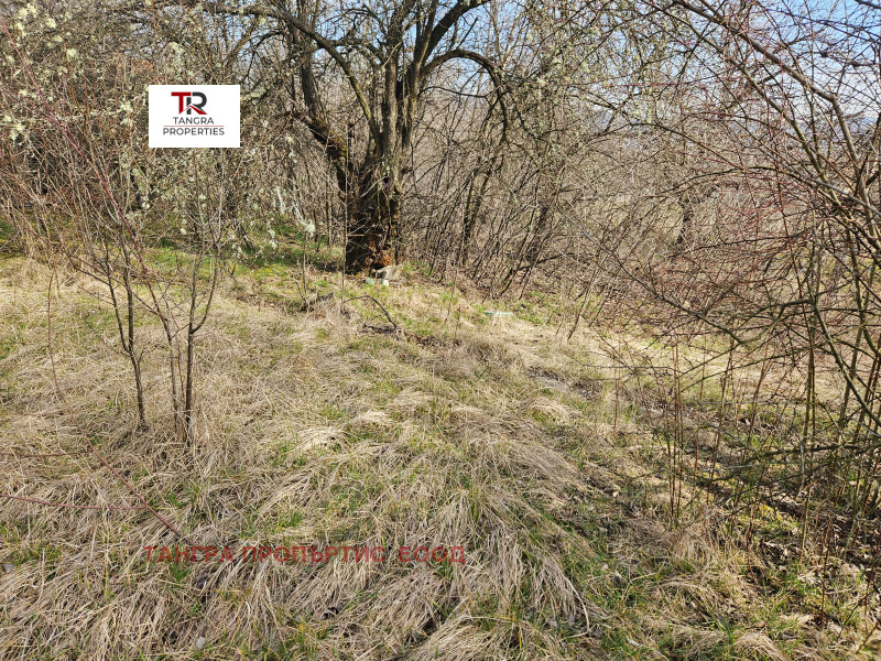 Продава ПАРЦЕЛ в област Перник, с. Долна Диканя - 1411 кв.м / 39 500 € » 77 255.29 лв., ТАНГРА ПРОПЪРТИС ЕООД