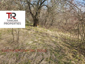 ������ ������� ������