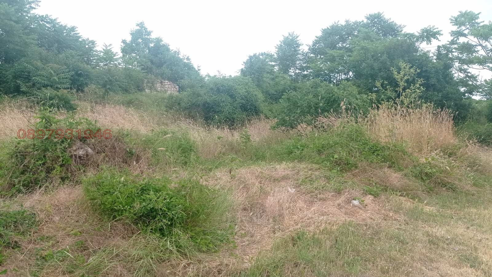 Продава ПАРЦЕЛ, с. Марково, област Шумен, снимка 2 - Парцели - 53720361