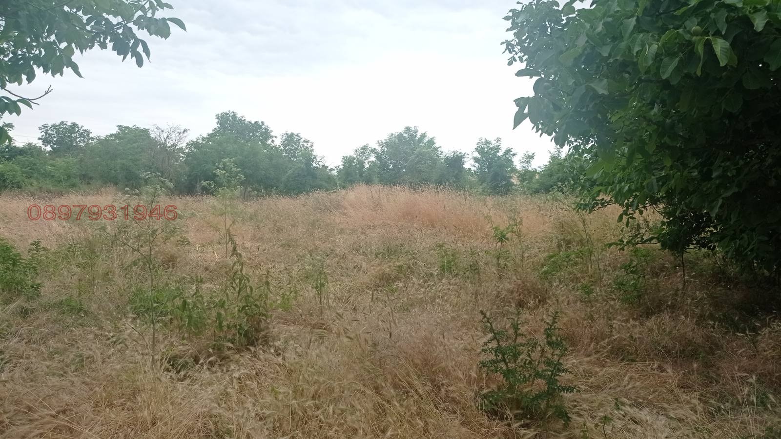 Продава ПАРЦЕЛ, с. Марково, област Шумен, снимка 2 - Парцели - 54086752