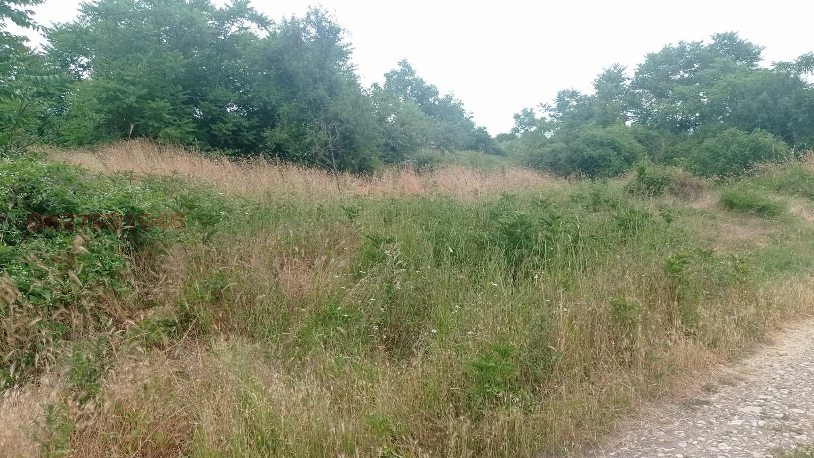 Продава ПАРЦЕЛ, с. Марково, област Шумен