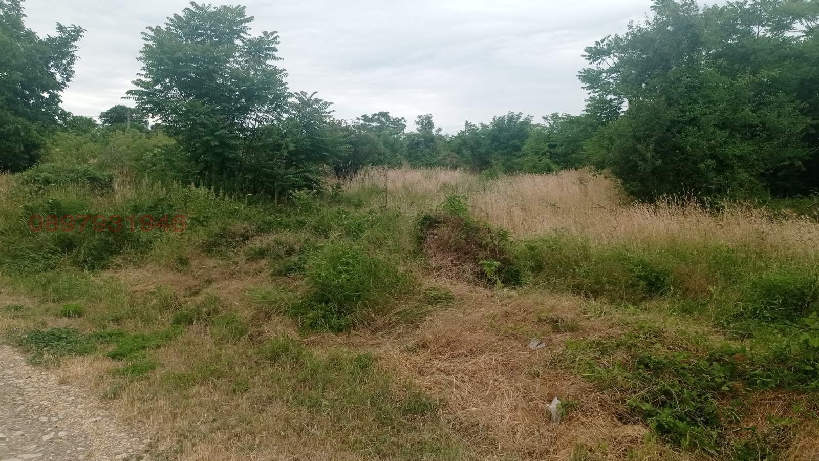 Продава ПАРЦЕЛ, с. Марково, област Шумен, снимка 4 - Парцели - 53720361