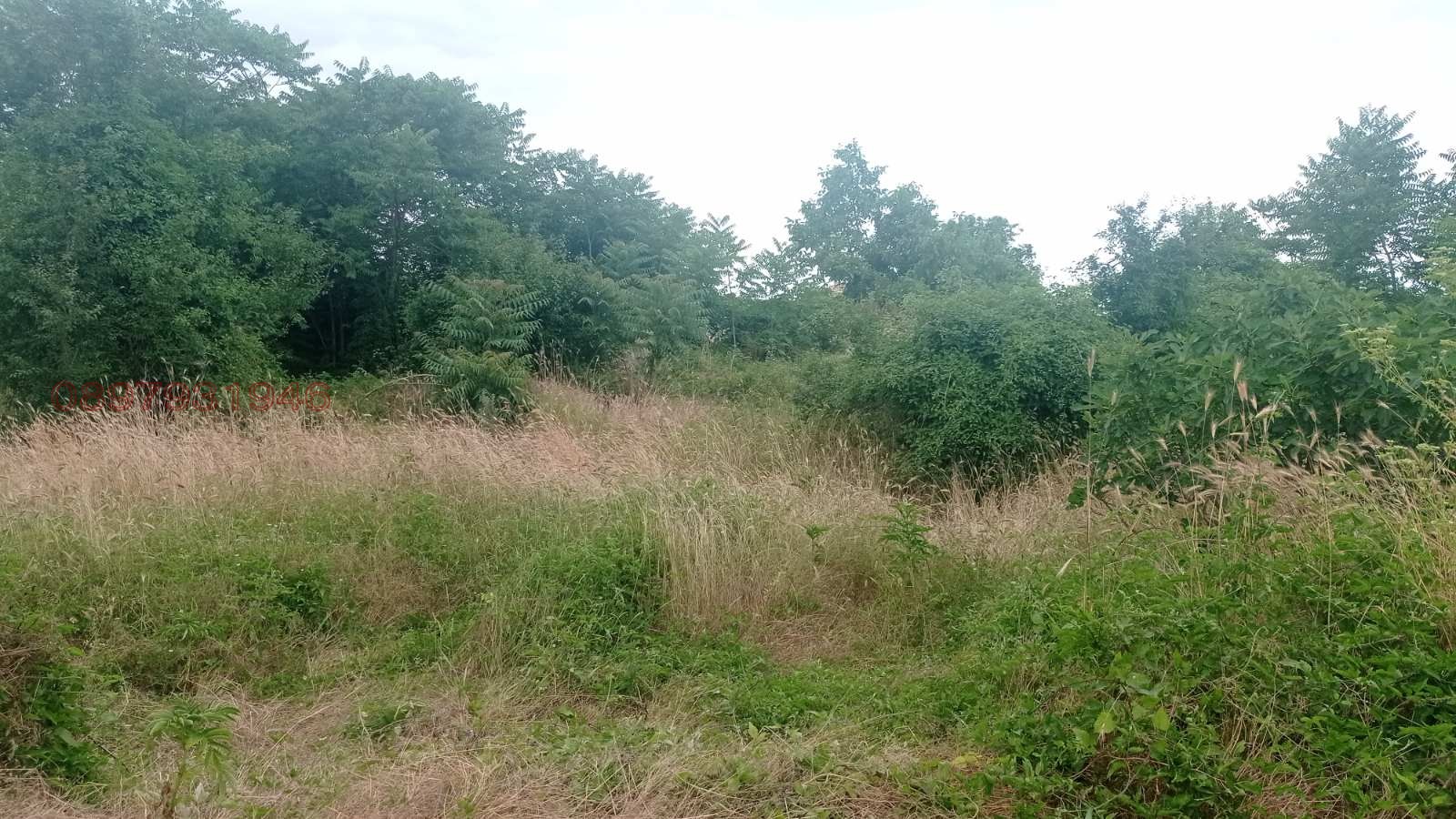 Продава ПАРЦЕЛ, с. Марково, област Шумен, снимка 3 - Парцели - 53720361