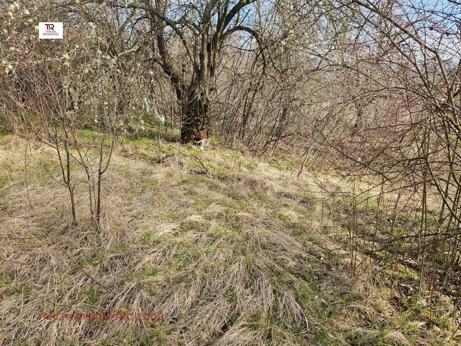 Продава ПАРЦЕЛ, с. Долна Диканя, област Перник