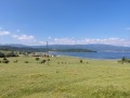 Продава ЗЕМЕДЕЛСКА ЗЕМЯ, гр. Батак, област Пазарджик, снимка 5