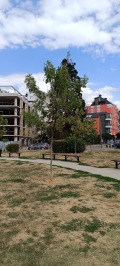 Продава 3-СТАЕН, град София, Павлово • 277000 € / 541764.91 лв. • 19136545 11