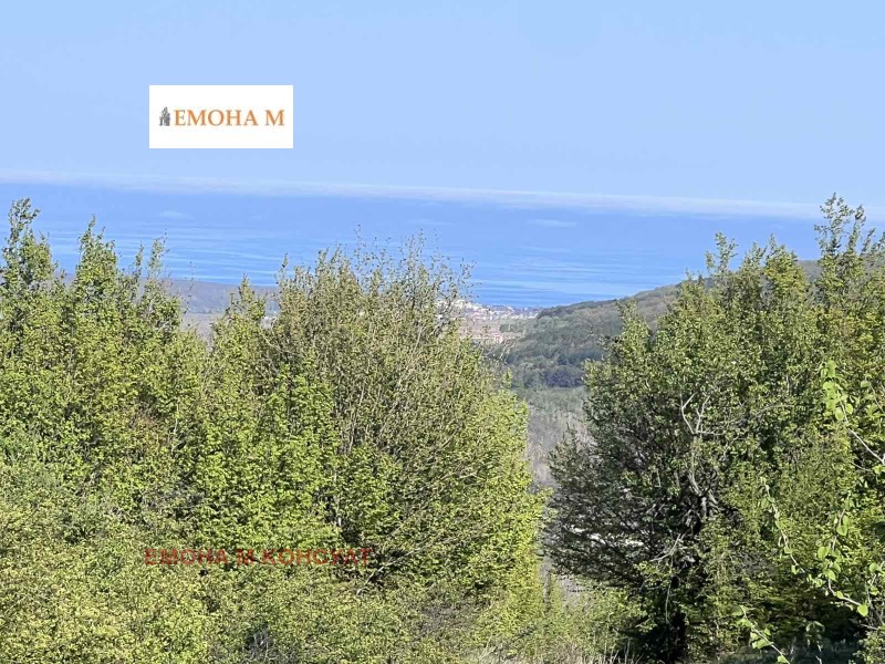 Продава ПАРЦЕЛ в област Варна, с. Климентово - 95000 кв.м / 950 000 € » 1 858 038.50 лв., ЕМОНА М КОНСУЛТ